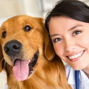 Meet your Posher, Adrian